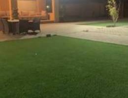  للايجار استراحه بالهجن 