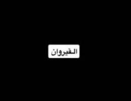  القيروان شقه كبيره 