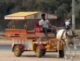  حنطور للأجار الى مزرعتك 