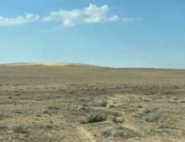  مطلوب جاخور ب الوفره للإيجار مده طويله 