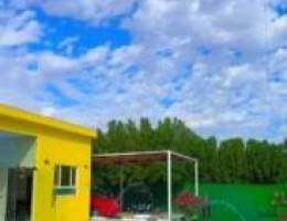  للأيجار مزرعه 