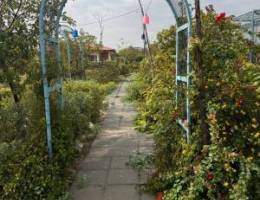  مزرعه مزارع 