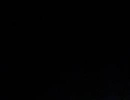  اجار شقه في سعد العبدالله من المالك مباشره 