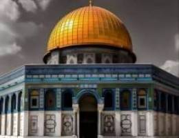  دور كامل مع ديوانية بالسرداب النسيم الجديدة - دور اول وشقق النسيم♦️♦️ 