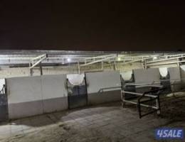  دوانيه أربعة مناجر خيل بدوق غرفت حارس غرفت علف 