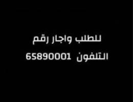  القيروان ق٣ ش٣٠٥ م٤٩ 