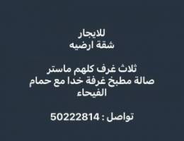  شقة ارضيه 