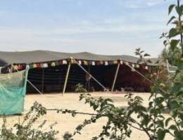  مزرعة الجابريه طريق 700 مكونه من 7 غرف ومسطحات خضراء مسبح مغطى 