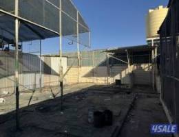  للإيجار مخزن 