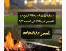  مزرعه بالوفره للايجار طريق500 