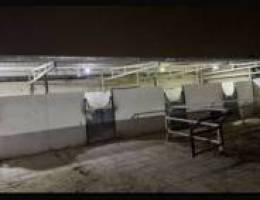  للإيجار جاخور شهري 