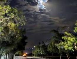  سعد العبدالله 