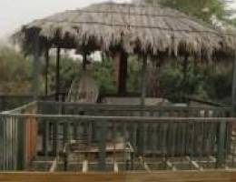  مزرعة مميزة 