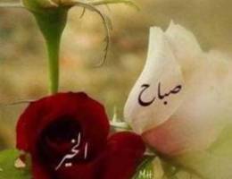  للايجار في صباح الاحمد ٣غرف وصاله معزوله بالحمام والمغاسل ومطبخ للايجا 