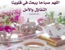  للايجار شقه فى الصباحيه غرفتان وثلاث حمامات صالة ومطبخ معاريس أو طفل 