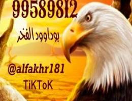  للاجار دور وسرداب مبارك الكبير ق3 