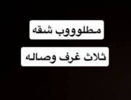  مطلووب شقه ثلاث غرف وصاله لعمال شركات 