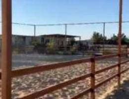  اسطبل بالوفرة 10 بناجر 