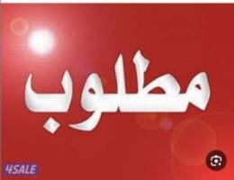  للجادين فقط   لاخوان شقه 