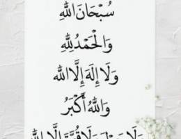  شقه صباح الناصر 