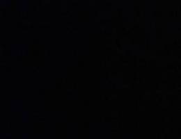  للايجار شقتين 