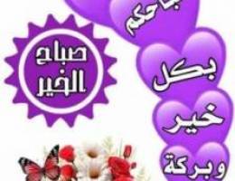  للايجار بيت كامل فى الرقه دورين فيه تكييف نظيف 