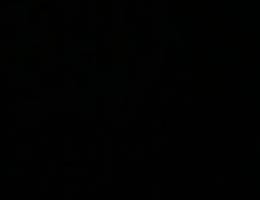  سعد العبدالله قطعه ٨ شارع ٨٣١ منزل ١٠٠٩ 