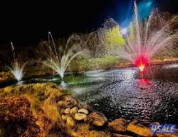  الدرة فارم  V.I.P القشعانية العبدلي 