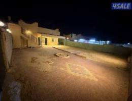  للاجار جاخور في كبد 