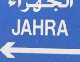  سعد العبد الله 