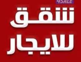  شقه المهبوله 