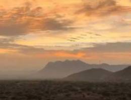  للإيجار دور وشقق في سعد 