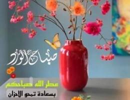  للايجار شقه بمبارك الكبير ٣غرف ٢حمام وصاله ومطبخ 