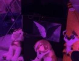  المهبولة قطعة 2 