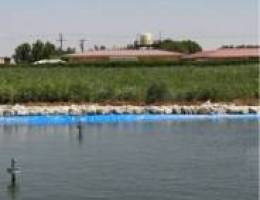  للأيجار مزرعه شهري وسنوي 