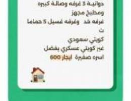  للايجــــار دور ارضي المطــــلاع و شقق وقسائم 