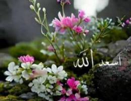  للإيجار دور غرب عبدالله المبارك ق6 سوبرديلوكس 