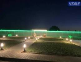  مزارع الوفرة 