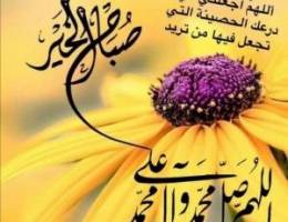  الايجار قسيمه بغرب عبدالله مبارك ثلاث ادور موقع بطن وظهر 