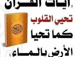  للايجار شقه فى الرقه غرفتان و٢ حمام ارضيه سنترال 