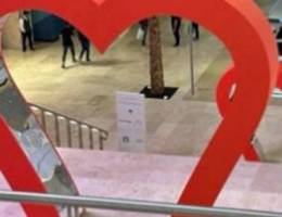  شاليه للايجار 