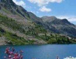  شقة في السلام للإيجار 