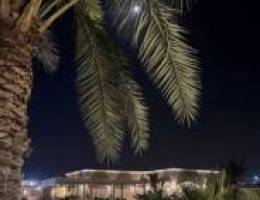  مزرعه للإيجار طريق 800 VIP جديده 