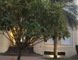  Vila for rent in Mushrofi 