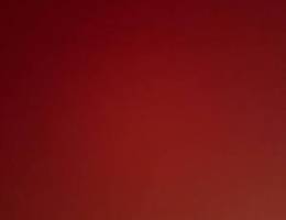  صباح الناصر 