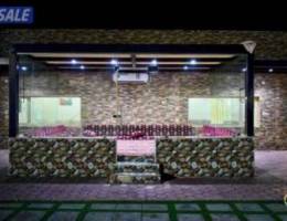  للايجار اليومي استراحة VIP في الهجن صالة العاب وجلسات خارجية وشلالات 