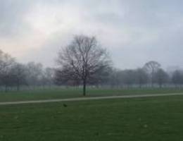  Apartment for rent in salwa 