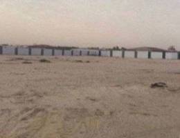  للإيجار مزرعة فاضية بالوفرة 