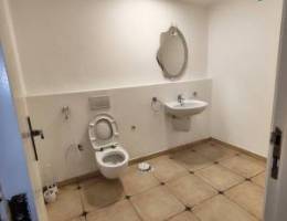  ابوالحصانية قطعة 11 