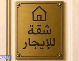  للإيجار شقه صغيره / واستديو 
